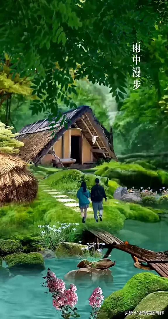 全战：幕府将军2